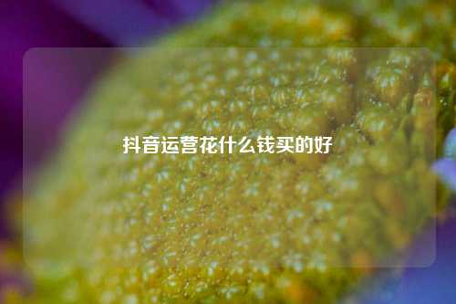 抖音运营花什么钱买的好