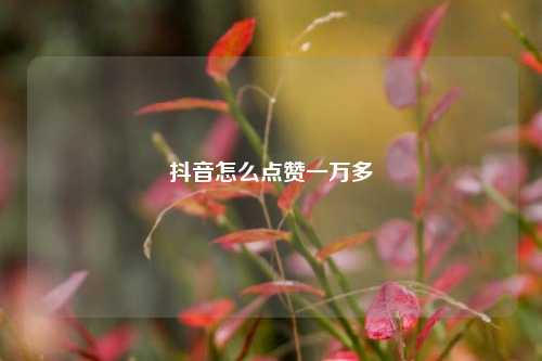 抖音怎么点赞一万多