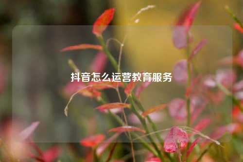 抖音怎么运营教育服务