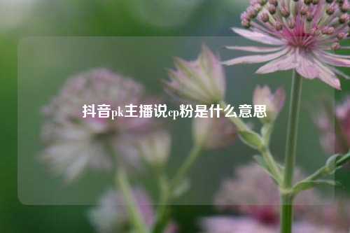 抖音pk主播说cp粉是什么意思