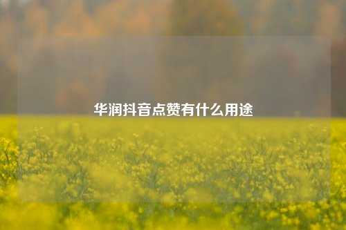华润抖音点赞有什么用途