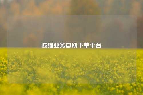 贱猫业务自助下单平台