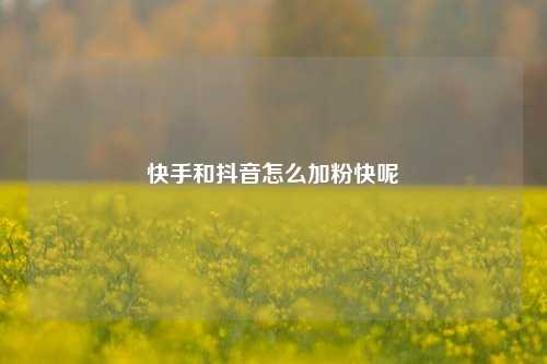 快手和抖音怎么加粉快呢