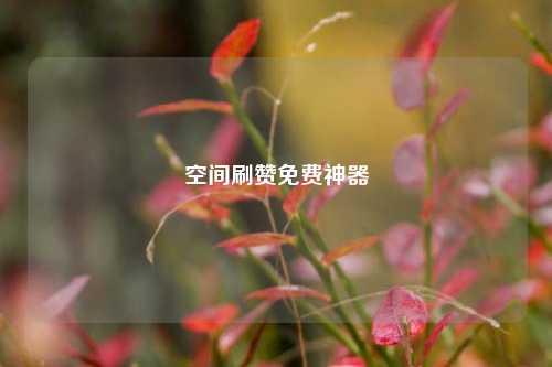 空间刷赞免费神器