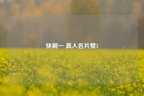 快刷一 真人名片赞5