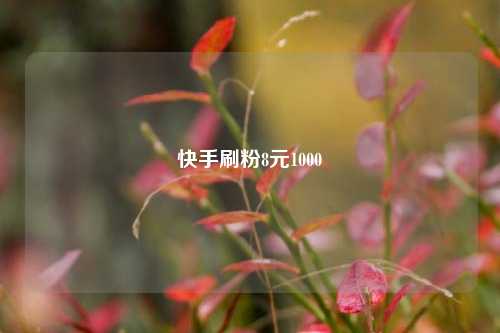 快手刷粉8元1000
