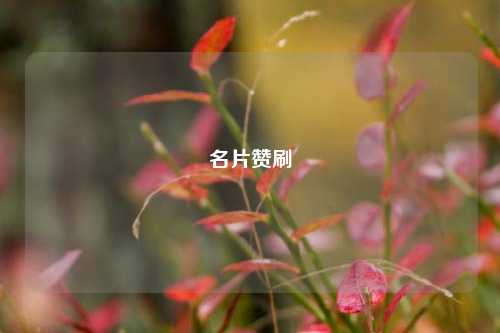 名片赞刷