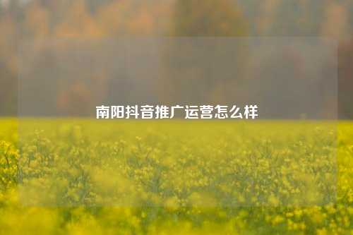 南阳抖音推广运营怎么样