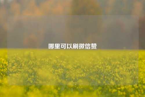 哪里可以刷微信赞