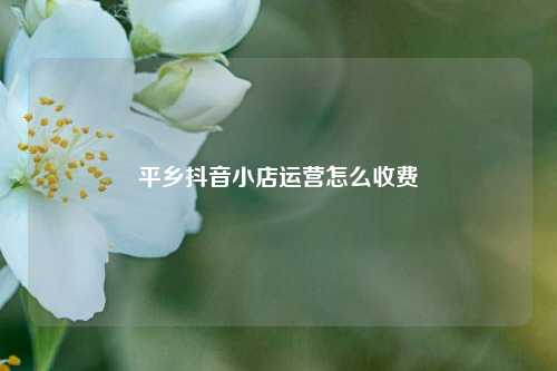 平乡抖音小店运营怎么收费