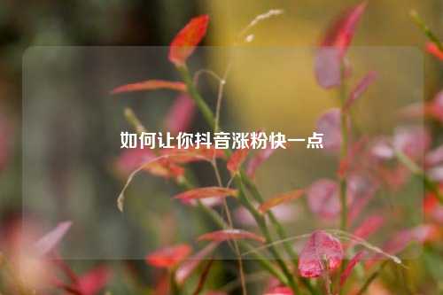 如何让你抖音涨粉快一点