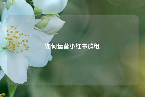 如何运营小红书群组