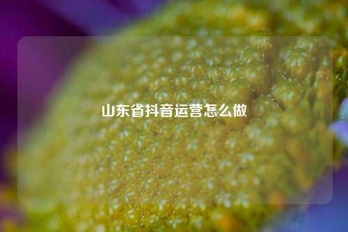 山东省抖音运营怎么做