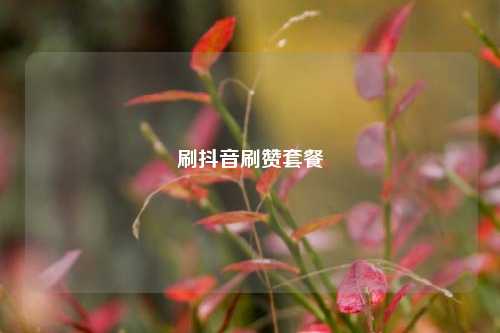 刷抖音刷赞套餐