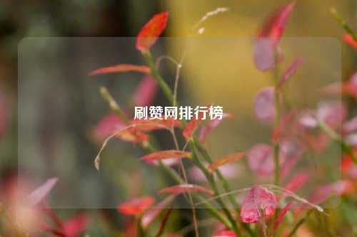 刷赞网排行榜