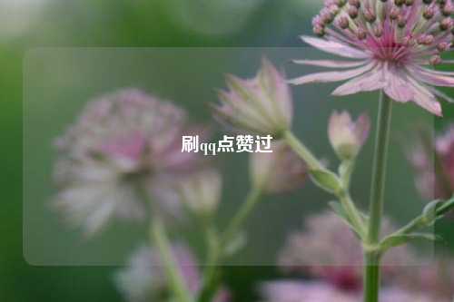 刷qq点赞过